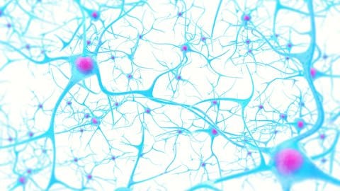 Neuronen vernetzen über Nervenbahnen unser Gehirn, wie Straßen