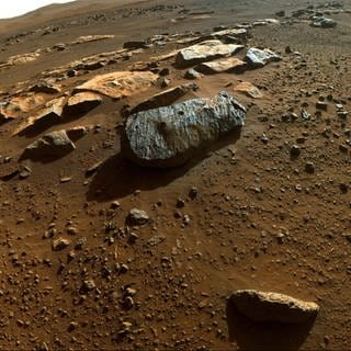 Bild von der Marsoberfläche mit Gesteinen