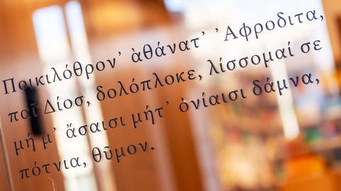 Die in Griechisch geschriebene Textstelle der Dichterin Sappho "Aphrodite, Göttin auf buntem Throne, dich, des Zeus listsinnende Tochter, ruf ich: zwing in Gram und Qualen nicht ganz danieder, Herrin, das Herz mir" im neuen Philologicum der Ludwig-Maximilians-Universität (in dem Schriftzug hat sich ein Schreibfehler eingeschlichen)