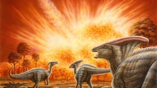 Das große Dinosauriersterben fand wohl an einem Frühlingstag vor rund 66 Millionen Jahren statt.