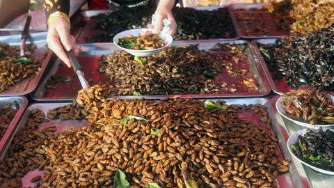 Insekten als Lebensmittel in Asien
