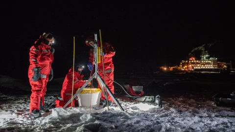 Forscher beim Fischen