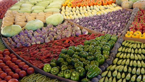 Auswahl an verschiedenem Gemüse