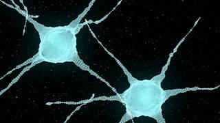 Illustration von Neuronen. Symbolbild. Bestimmte Hirnzellen, sogenannte Dlk1-Neuronen, sorgen für Appetitlosigkeit.