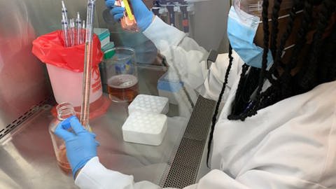 Adrienne Gilkes, Mitarbeiterin der US-Firma Regeneron, pipettiert Zellkulturmedien in einer mikrobiologischen Werkbank im Labor für Infektionskrankheiten (undatierte Aufnahme). Das Biotechnologie-Unternehmen stellt einen experimentellen Antikörper-Cocktail gegen Covid-19 her.