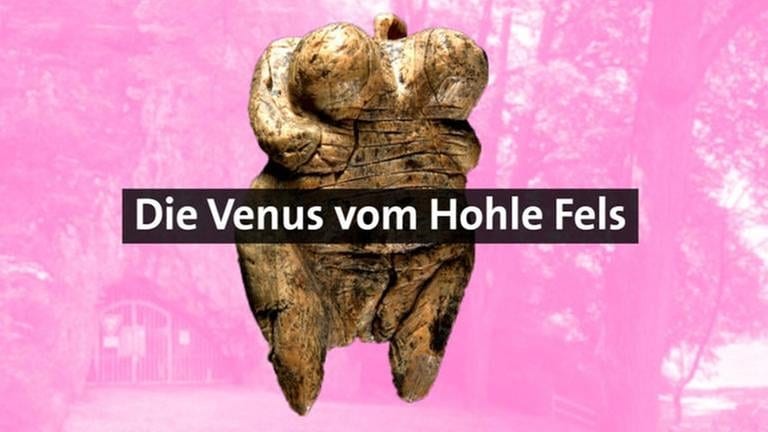 Die Venus vom Hohle Fels