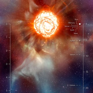 Wird Beteigeuze bald zur Supernova?