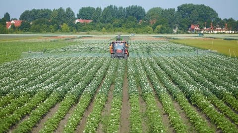 Extensive Landwirtschaft mit weniger Dünger- oder Pflanzenschutzmittel und mehr Biodiversität ist die nachhaltigere Form der Bodennutzung - Bildrechte: Andre Künzelmann  Helmholtz-Zentrum für Umweltforschung GmbH - UFZ 