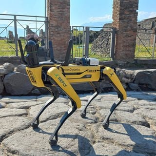 Das Foto zeigt einen vierbeinigen Roboter namens Spot bei der Arbeit im archäologischen Park von Pompeji in Italien.