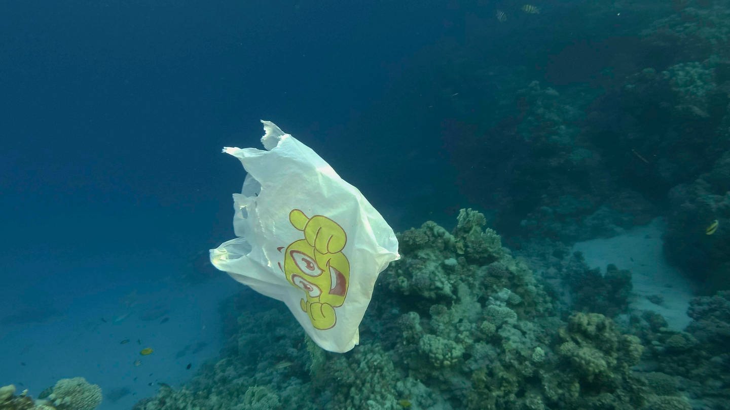 Plastiktuete mit Smileyaufdruck schwebt unter Wasser