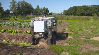 Roboter in der Landwirtschaft