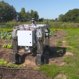 Roboter in der Landwirtschaft