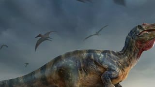 Grafische Darstellung eines riesigen Dinosaueriers.