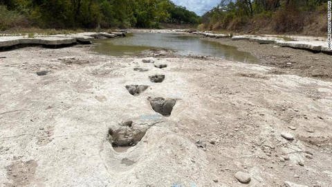 Dinosauerierspuren im trockenen Flussbett des Valley State Parks im US-Bundesstaat Texas