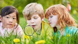 Drei Kinder erforschen neugierig die Natur mit einer Lupe.