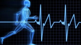 Ein illustriertes Skelett joggt. Im Hintergrund befindet sich die Aufnahme eines Herzschlags.