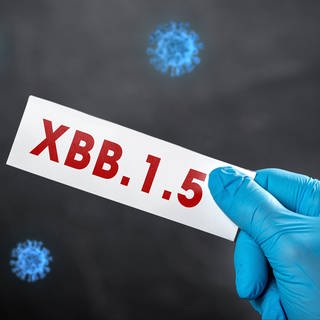 Eine Hand im Gummihandschuh hält einen Zettel mit der Aufschrift "XBB.1.5"