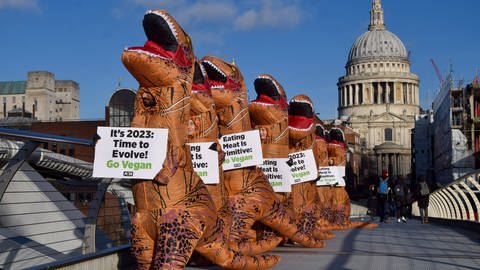 Protestaktion auf der Londoner "Wackelbrücke". 