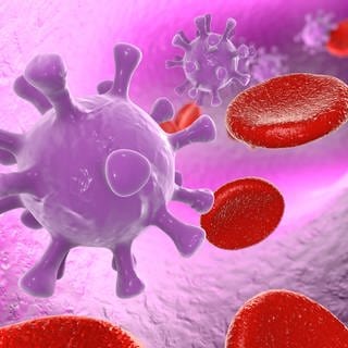 HI-Viren in der Blutbahn (Illustration)
