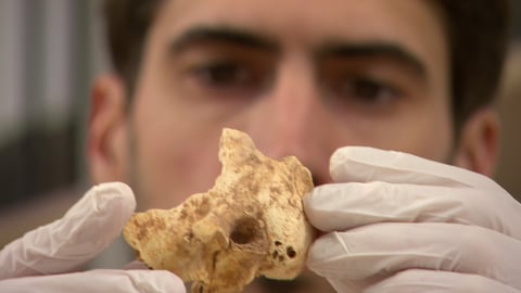 Cosimo Posth untersucht ein Knochenstück