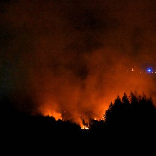 Die Gefahr von Waldbränden steigt angesichts des Klimawandels