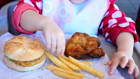 Kleines Kind mit Burger, Pommes und Schnitzel auf dem Tablett. Kinder sollten nicht zu viel Fettiges essen, sondern sich ausgewogen ernähren.