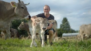 Wie sieht umwelt- und tierfreundliche Milchviehhaltung aus? 