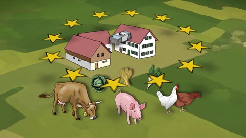 Grafik Hof mit EU-Sternen und Tieren 