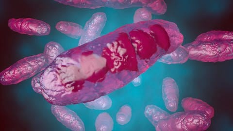 3D Illustration von Mitochondrien - den Kraftwerken der Zelle.