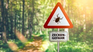 "Zecken-Gefahr" Warnungsschild ist vor leicht verschwommenem Wald zu sehen.