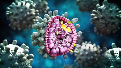 Das Bild zeigt eine 3D-Illustration eines Hepatitis-B-Virus.