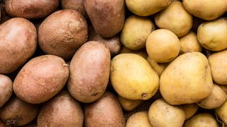 Das Bild zeigt verschiedene Kartoffelsorten.