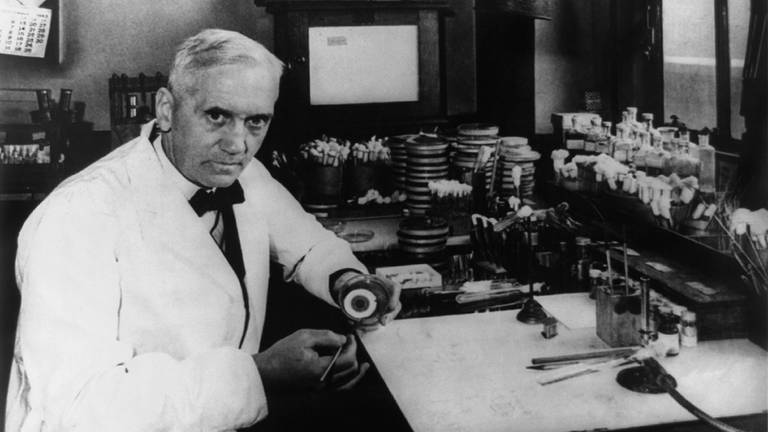 Alexander Fleming in seinem Labor mit Petrischalen