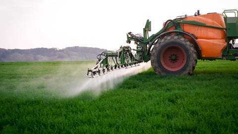 Die Getreideproduktion trägt laut Foodwatch wesentlich zum Pestizideinsatz in Deutschland und der EU bei. 