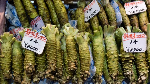 Das Bild zeigt frische grüne Wasabi-Wurzeln auf einem Markt. Symbolbild.