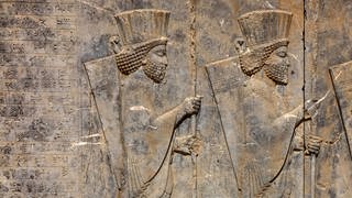 Persische Wachsoldaten an der Westreppe des Darius-Palastes mit Keilschrift, Persepolis, Iran