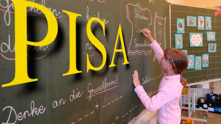 Die PISA-Studie soll den Leistungsstandard von Schülerinnen und Schülern im internationalen Vergleich ermitteln.