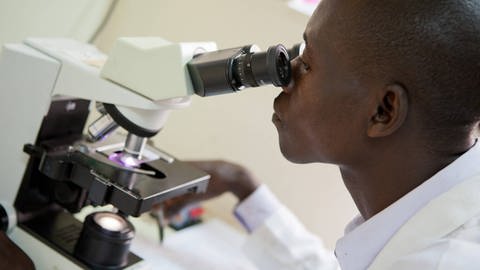 Schon seit rund einem Jahrhundert wird nach einem Impfstoff gegen Malaria geforscht. Jetzt scheint es erfolgreiche Kandidaten zu geben.