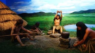 Neandertaler erfanden Mehrkomponentenkleber auf der Basis von Bitumen und Ocker. Damit wurden unter anderem auch Steinwerkzeuge geklebt.