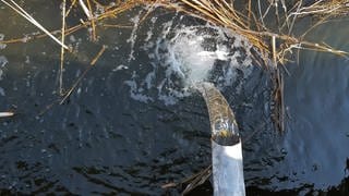 Abwasserrohr in ein natürliches Gewässer, tags: NASA, Wasser, Chemikalien, Grundwasser