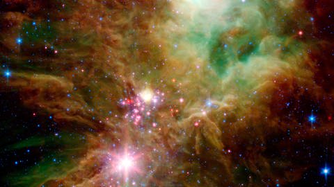 Vom Spitzer-Teleskop neu aufgedeckte Säuglingssterne 
