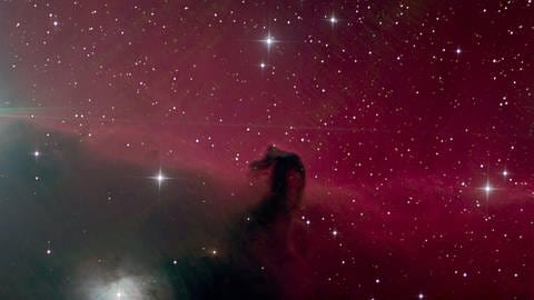 Pferdekopfnebel im Sternbild Orion