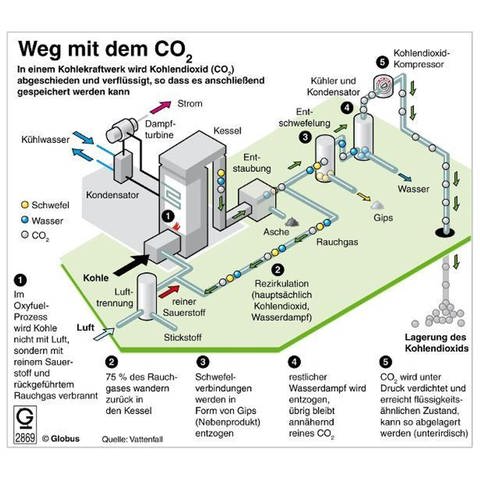Infografik zu dem Verlauf von "Carbon Capture and Storage": die Abscheidung von Kohlendioxid aus Abgasen von mit Kohle befeuerten Kraftwerken und deren unterirdische Lagerung