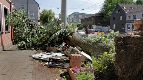 Bei Gewitter sollte man nicht unter Bäumen Schutz suchen. Ein Blitz kann einschlagen, und sie können entwurzelt werden. Richtig: Sich im Freien möglichst klein machen.