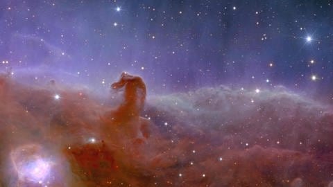 Der Pferdekopfnebel. Eine sogenannte Dunkelwolke im Sternbild Orion. Ein Teil der Wolke ähnelt der Silhoutte eines Pferdekopfs, was dem Nebel seinen Namen gibt. Tags: Zukunft, ESA, Raumfahrt