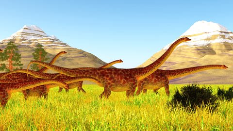 Die Sauropoden-Art Diplodocus wurde bis zu 27 Meter lang und wog circa 15 Tonnen. Sie blieben während des Klimawandels wechselwarm.