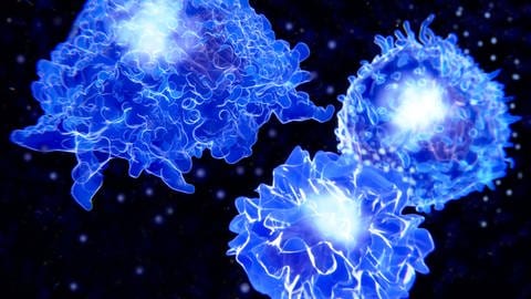 Makrophage, T-Zelle, und B-ZelleDendritische Zelle