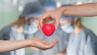 Symbolbild: Eine Hand reicht einer anderen ein rotes Herz, im Hintegrund ist ein OP, tags: Organspende, Tiere, Spenderorgan 