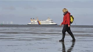 Eine Wattwanderin spaziert durch das Watt bei Dagebüll, im Hintergrund ein Schiff