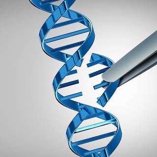 Pinzette stellt Genschere CRISPRCas dar und entnimmt Teil der DNA. Mit CRISPR sind viele Hoffnungen auf eine Therapie verbunden.